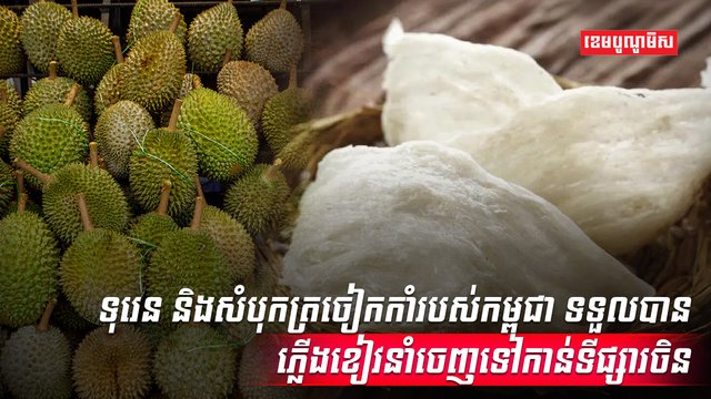 វិស័យកសិកម្ម