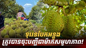 វិស័យ​កសិកម្ម