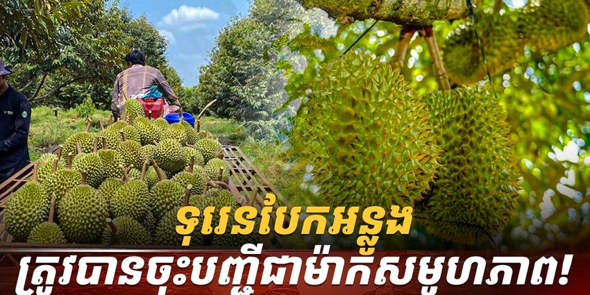 វិស័យ​កសិកម្ម