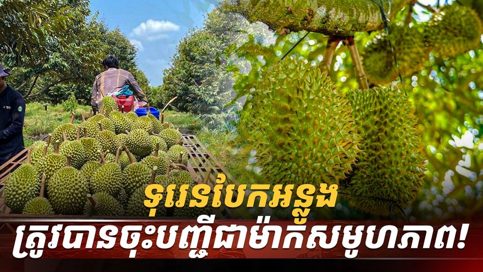 វិស័យ​កសិកម្ម