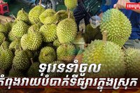 ទុរេននាំចូល