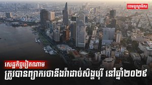 វិស័យវាយនភណ្ឌ