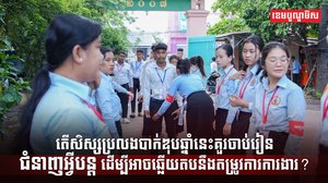 វិស័យការងារ