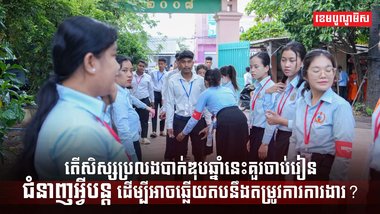 វិស័យការងារ
