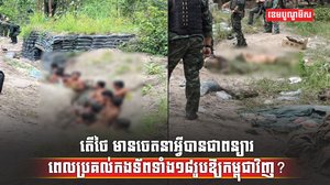 វិស័យការពារជាតិ