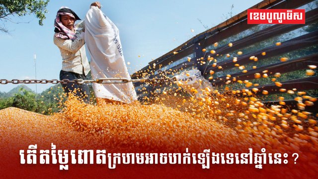 វិស័យកសិកម្ម
