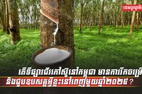 ទីផ្សារជ័រកៅស៊ូ