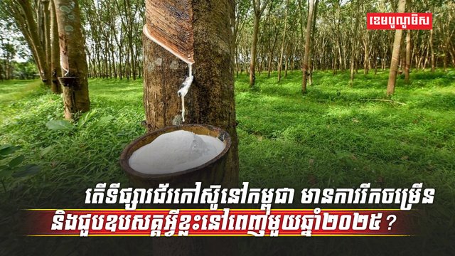 ទីផ្សារជ័រកៅស៊ូ