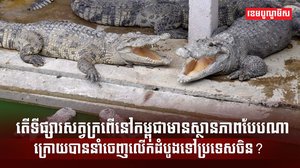 ទីផ្សារសត្វក្រពើ