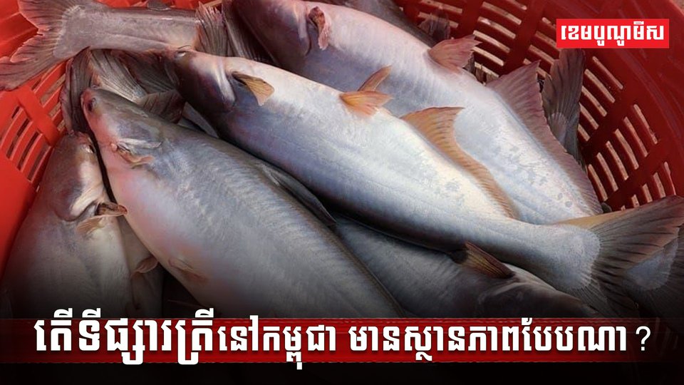 វារីវប្បកម្ម