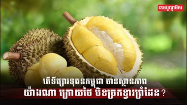 ទីផ្សារទុរេន