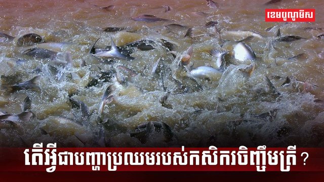 វិស័យវារីវប្បកម្ម