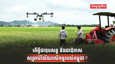 វិស័យកសិកម្ម