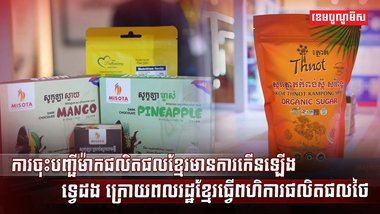 វិស័យ SME
