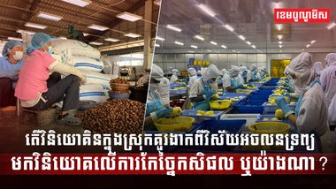 វិស័យកសិកម្ម