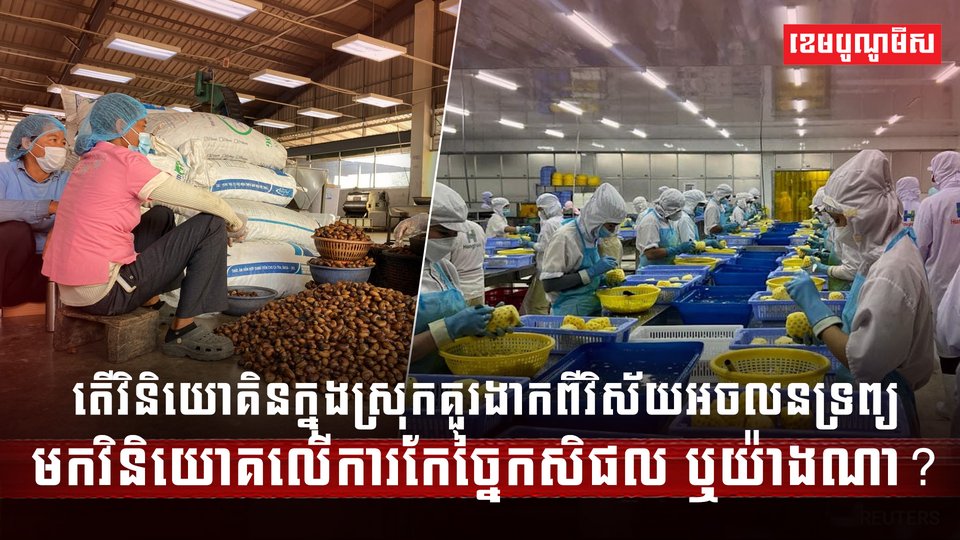 វិស័យកសិកម្ម
