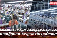 វិស័យការងារ