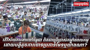 វិស័យការងារ
