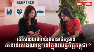 វិស័យធានារ៉ាប់រង