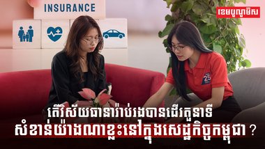 វិស័យធានារ៉ាប់រង