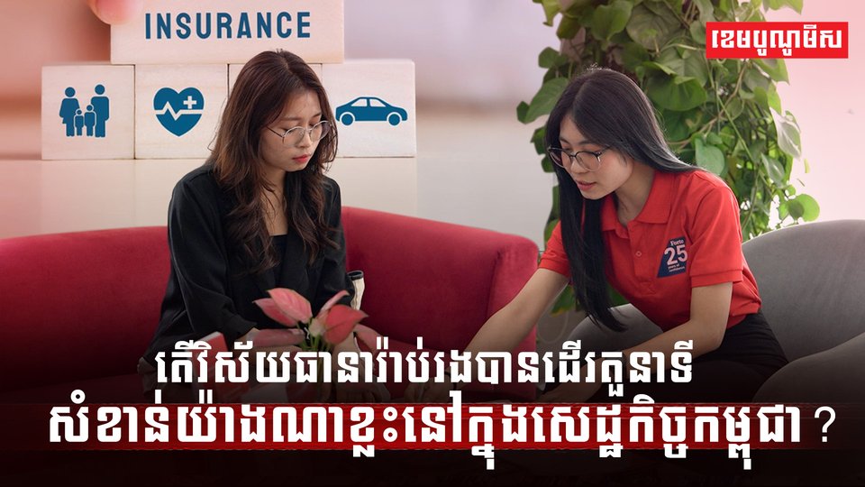 វិស័យធានារ៉ាប់រង