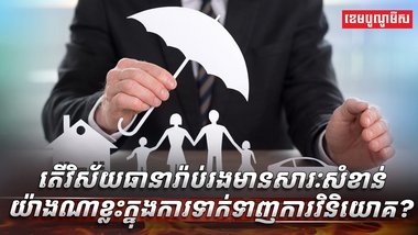 វិស័យធានារ៉ាប់រង