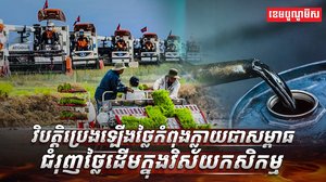 វិស័យ កសិកម្ម