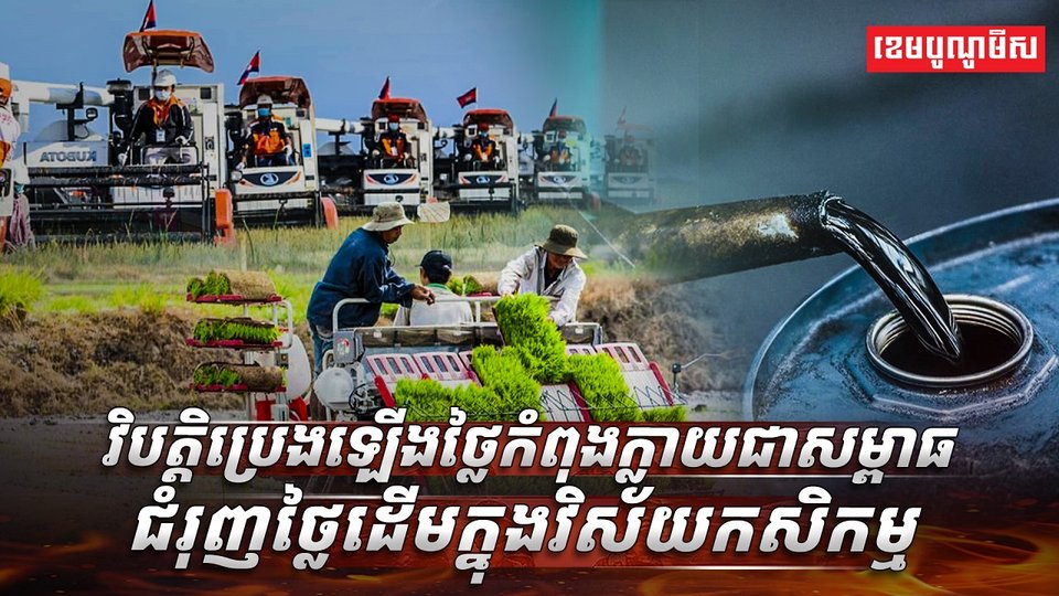 វិស័យ កសិកម្ម