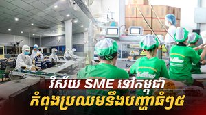 វិស័យ​ SME