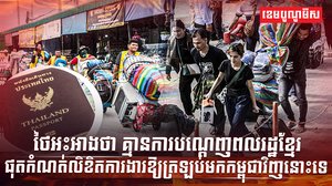 វិស័យការងារ