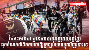 វិស័យការងារ