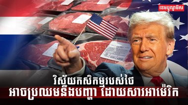 វិស័យកសិកម្ម