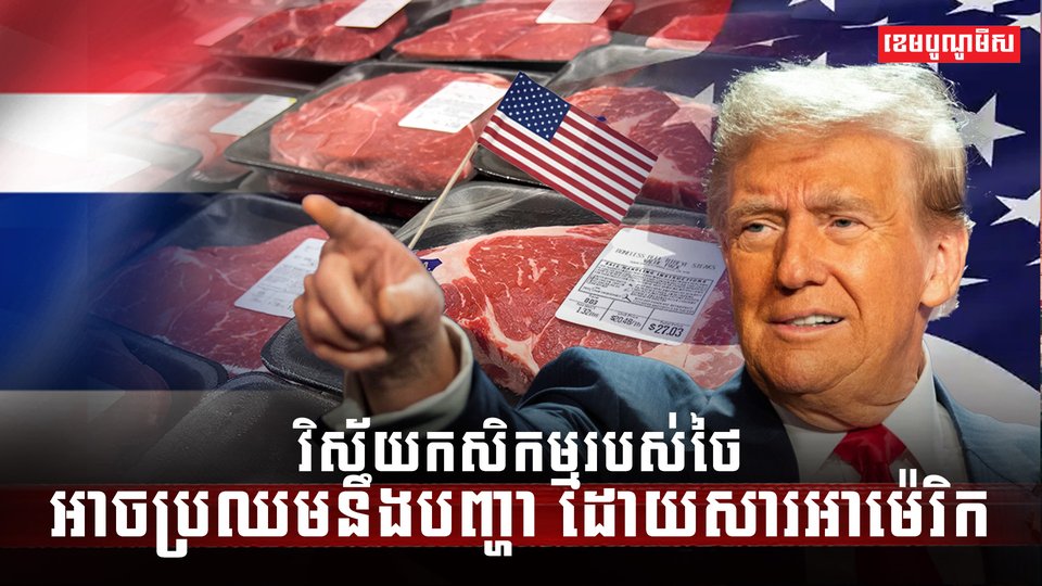 វិស័យកសិកម្ម