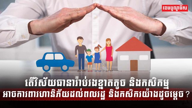 វិស័យធានារ៉ាប់រង