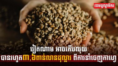 វិស័យកសិកម្ម