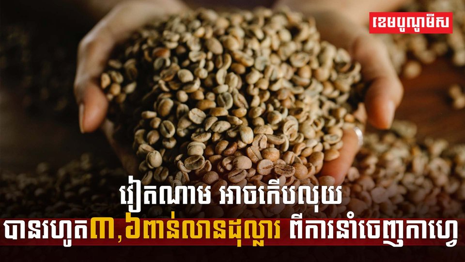 វិស័យកសិកម្ម