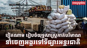 វិស័យស្រូវ អង្ករ