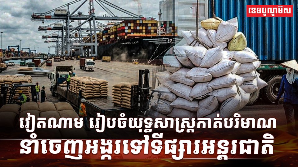 វិស័យស្រូវ អង្ករ