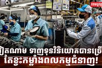 វិស័យការងារ