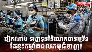 វិស័យការងារ