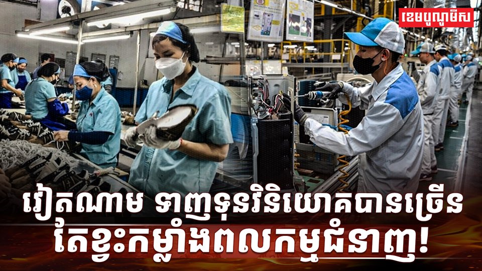 វិស័យការងារ