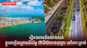 កោះត្រល់